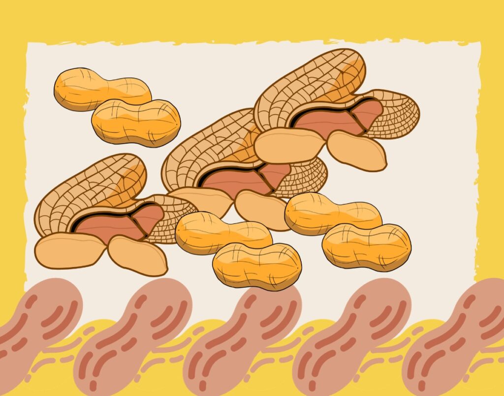 Boiled Peanuts A Southern Delight